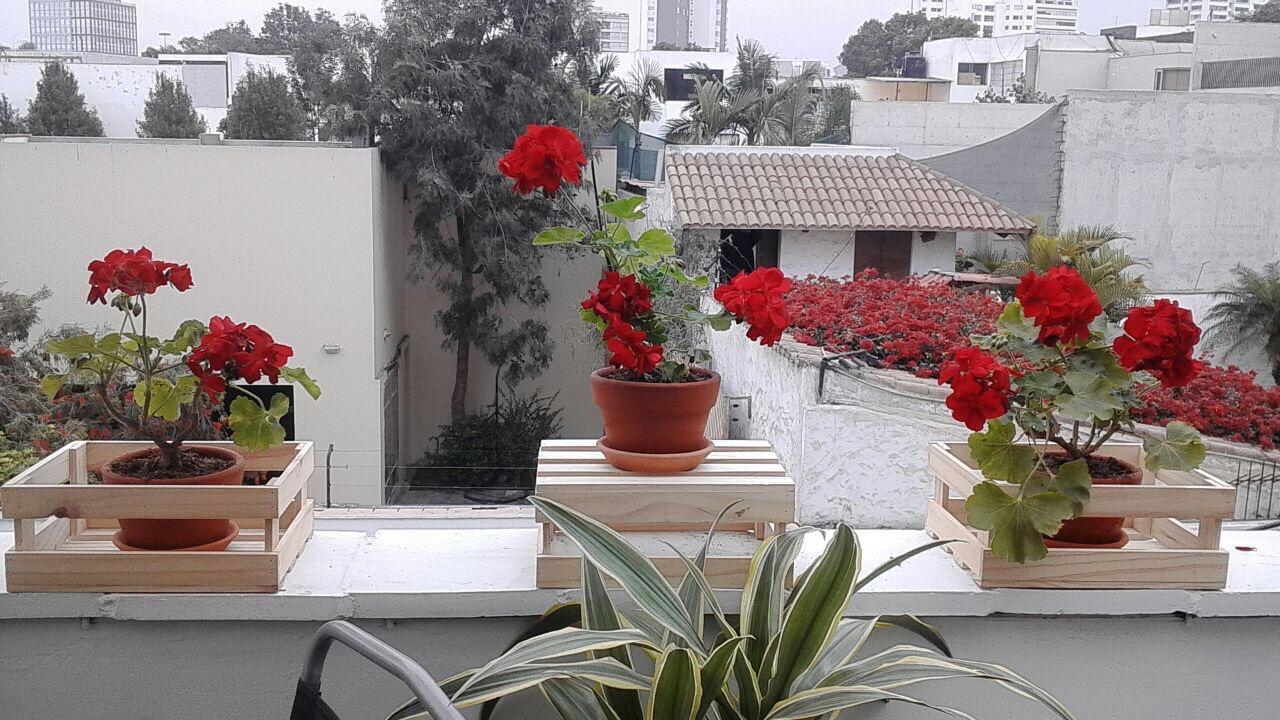 Lindos Apartamentos En San Isidro Λίμα Εξωτερικό φωτογραφία